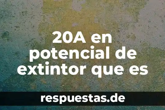 Que es un significado potencial 5 20A en potencial de extintor que es