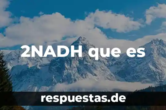 Que es sociedad resumido 6 2NADH que es