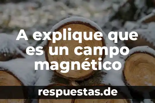 A explique que es un campo magnético
