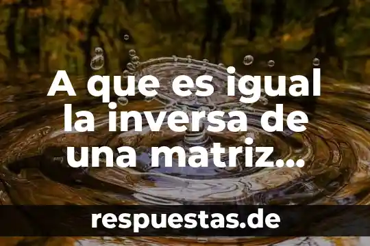 A qué es igual un pascal a n 6 A que es igual la inversa de una matriz diagonal