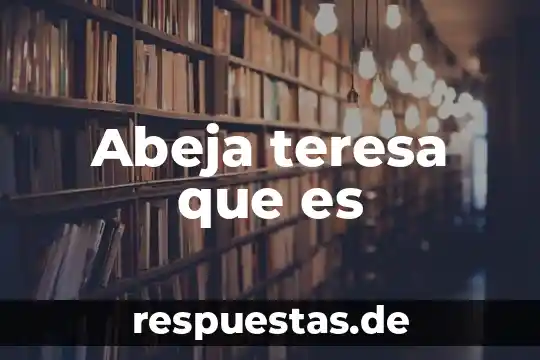 Qué es el concepto hetero 3 Abeja teresa que es