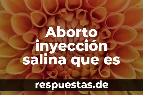 Que es el sistema educativo capitalista 8 Aborto inyección salina que es