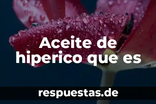 Qué es el aceite de origen animal y vegetal 4 Aceite de hiperico que es