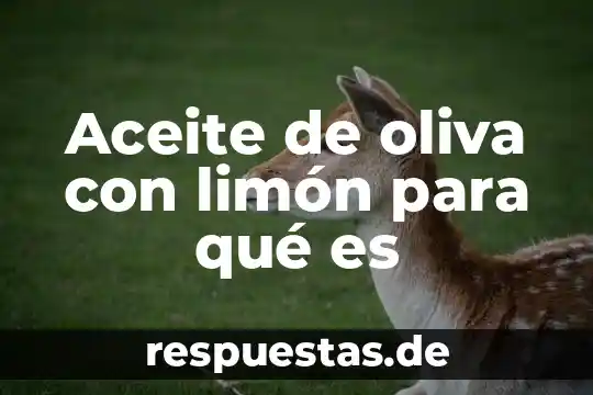 Qué es el aceite de origen animal y vegetal 6 Aceite de oliva con limón para qué es