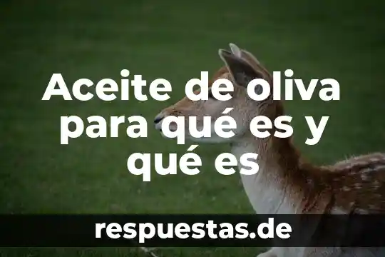 Qué es el aceite de origen animal y vegetal 3 Aceite de oliva para qué es y qué es