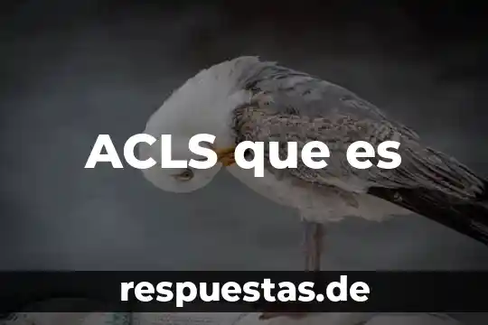 Por que es malo el maltrato animal 6 ACLS que es