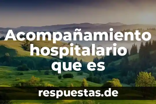 Qué es la hipótesis y variable 7 Acompañamiento hospitalario que es