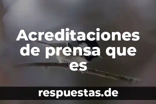 Acreditaciones de prensa que es