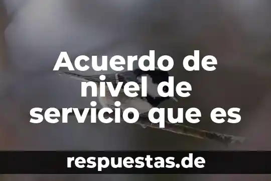 Que es la gracia de acuerdo ala biblia 5 Acuerdo de nivel de servicio que es