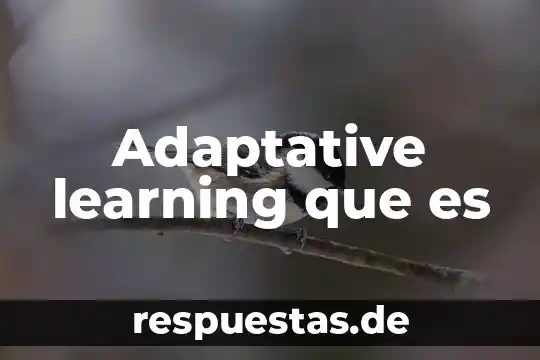 Que es e learning estudiantes 5 Adaptative learning que es
