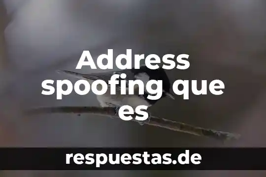 Address spoofing que es