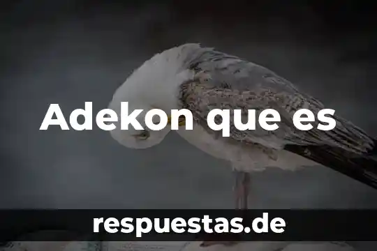 Adekon que es