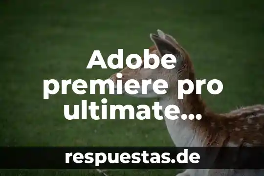 Que es pro nombre en ingles 7 Adobe premiere pro ultimate guides que es