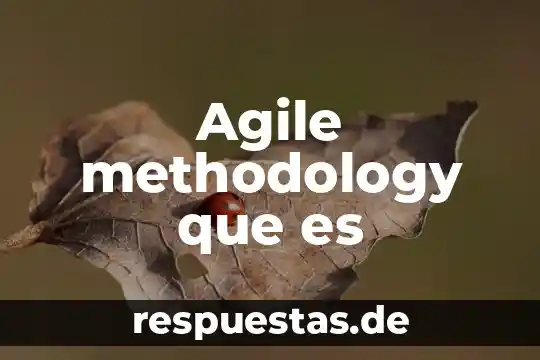 Agile methodology que es