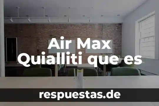 Air Max Quialliti que es