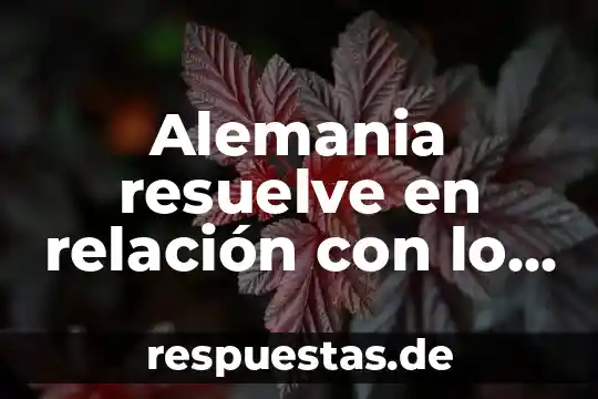 Alemania resuelve en relación con lo que es derechos humanos