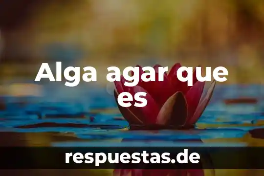 Agar pplo que es 5 Alga agar que es