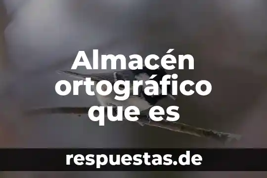 Almacén ortográfico que es