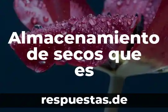 5To dan que es 4 Almacenamiento de secos que es