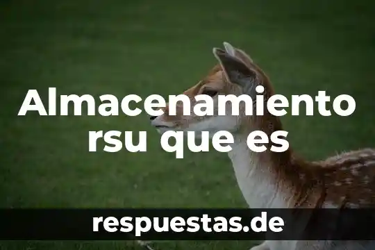 Que es movimiento rectilíneo uniformemente 4 Almacenamiento rsu que es