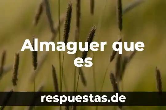 Qué es el software concepto 3 Almaguer que es