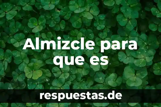 Qué es la filosofía education 4 Almizcle para que es