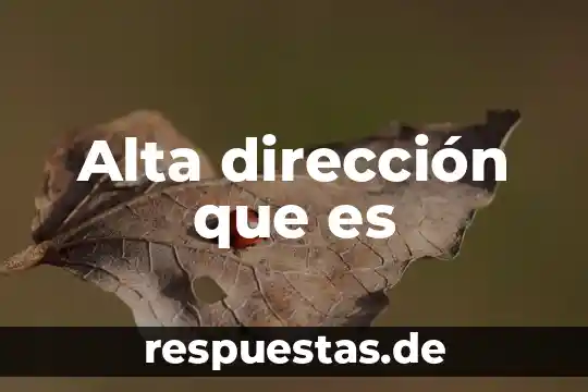 Que es arte.de 7 Alta dirección que es