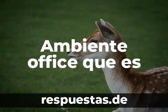 Que es el ambiente y cultura organizacional de una empresa 8 Ambiente office que es
