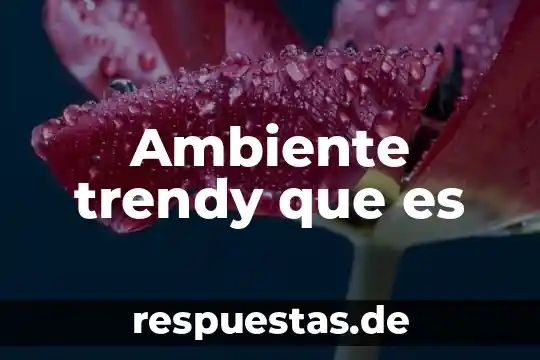 Ambiente trendy que es