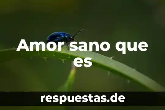 Qué es mejor dieta o comer sano 3 Amor sano que es