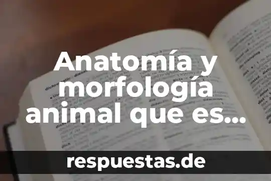 Que es una celulas animal y sus partes 7 Anatomía y morfología animal que es estela