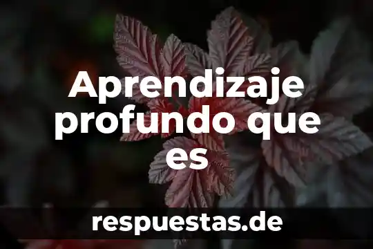 Que es intrumento musical maraca 6 Aprendizaje profundo que es