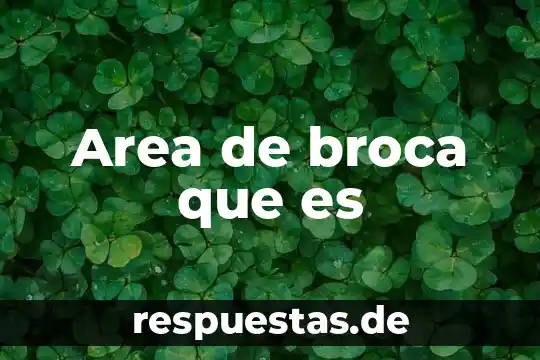 Qué es el área de un número 6 Area de broca que es