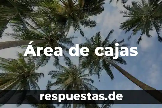 Que es area septentrionalesquematizado 6 Área de cajas