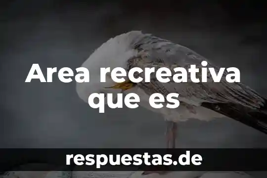 Qué es el área de sectores circulares 8 Area recreativa que es