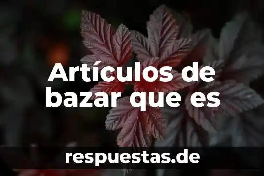 Artículos de bazar que es