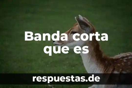 Qué es el corta machuelo 5 Banda corta que es