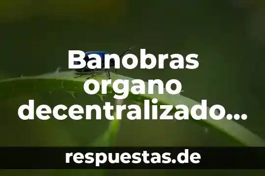 El órgano de fiscalización de una sociedad 6 Banobras organo decentralizado que es