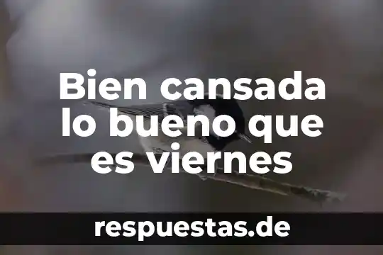Bien cansada lo bueno que es viernes