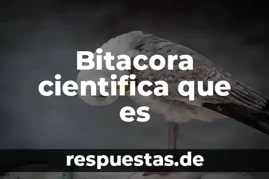 Qué es la sociedad científica 4 Bitacora cientifica que es
