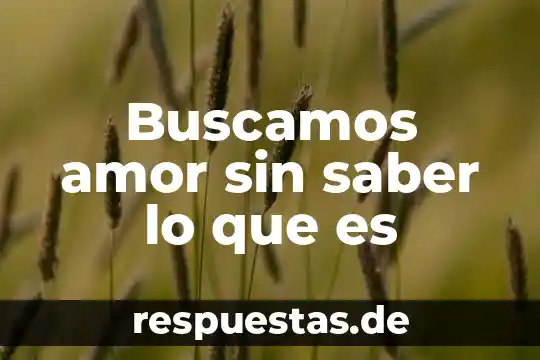 Que es lo que debe saber un programador 8 Buscamos amor sin saber lo que es