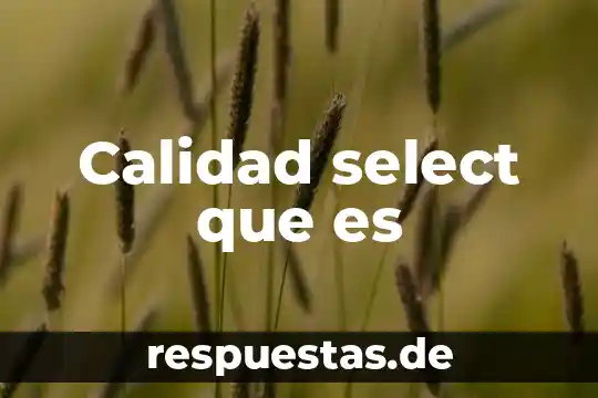 Que es manuales de calidad 3 Calidad select que es