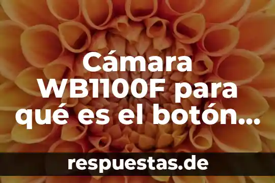 Que es la unidad de control de un ordenador 5 Cámara WB1100F para qué es el botón Speed Control