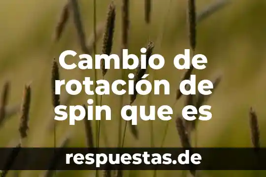 Qué es rotación de un cuerpo y fórmula 3 Cambio de rotación de spin que es