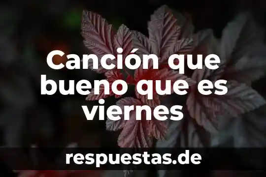 Que es bueno tomar cuando hago ejercicio en el gym 7 Canción que bueno que es viernes