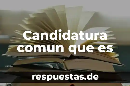 Qué es el conocimiento común y sus características 3 Candidatura comun que es