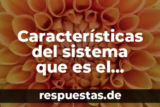 Qué es un paradigma positivista y sus características 4 Características del sistema que es el sistema respiratorio