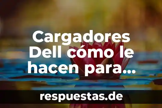 Cargadores Dell cómo le hacen para reconocer que es original