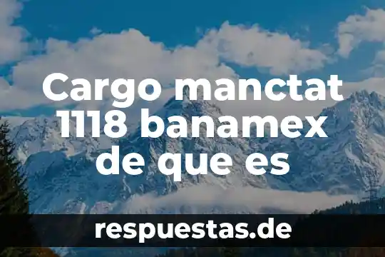 Qué es una nota cargo 3 Cargo manctat 1118 banamex de que es