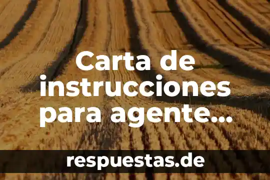 Que es versatil significado 4 Carta de instrucciones para agente aduanal para que es